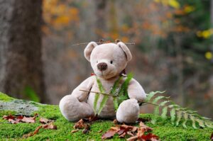 teddy bear, bear, plush toy, stuffed toy, nature, stuffed animal, outdoors, leaves, plants, forest