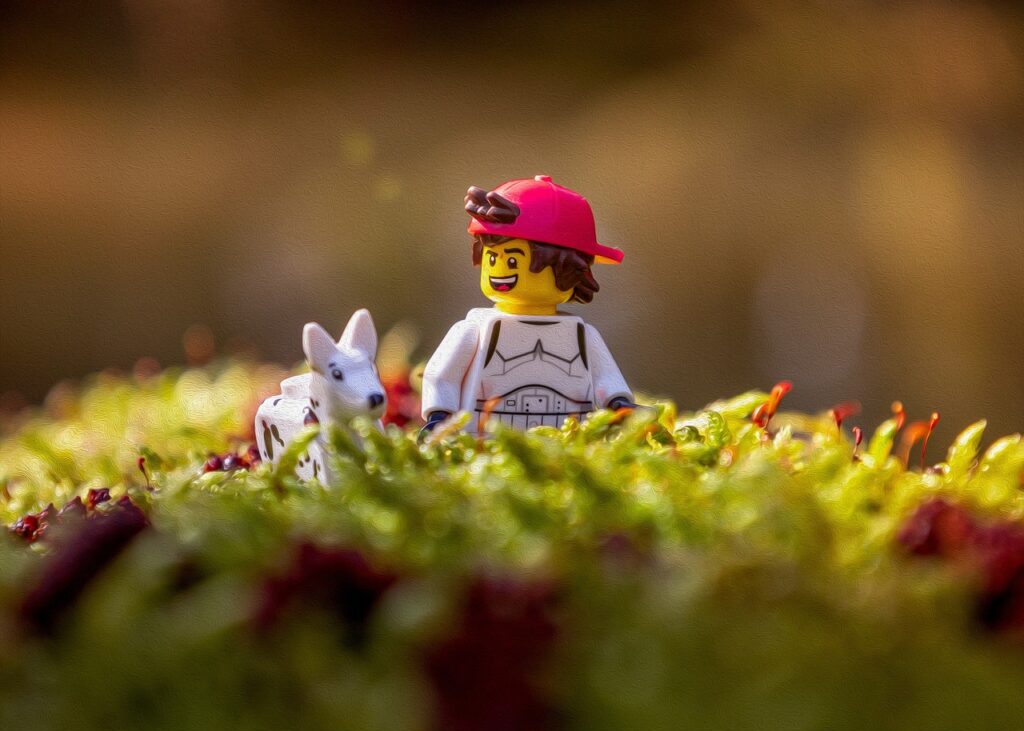 lego, animal, pet, toy, play, lego minifigures, figures, dog, boy, hat, plastic, moss, nature