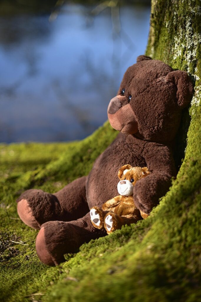 teddy, soft toy, toy, bear, soft, cute, happy, teddy bear, love, outdoors, park, spring time, day, brown, friends
