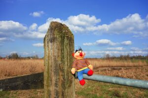 doll, rag doll, toy, male doll, boy doll, textile, stuffed, cloth, soft, traditional, doll, doll, doll, doll, doll, rag doll, rag doll, rag doll, male doll