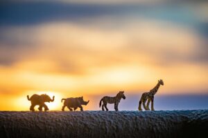Silhouettes of miniature safari animal figures at dusk against a vibrant sunset.