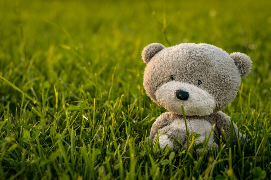 Cute stuffed teddy bear sitting on green grass in the outdoors, ideal for children and playtime themes.